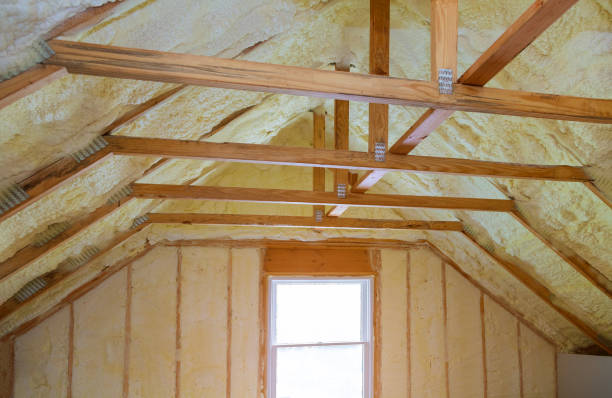 Best Spray Foam Insulation in Shady Hollow, TX