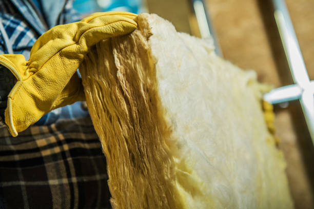 Professional Insulation Contractor in Shady Hollow, TX