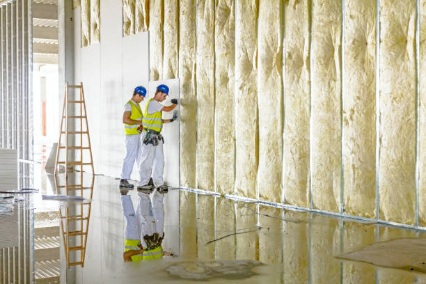 Best Specialized Insulation Services in Shady Hollow, TX